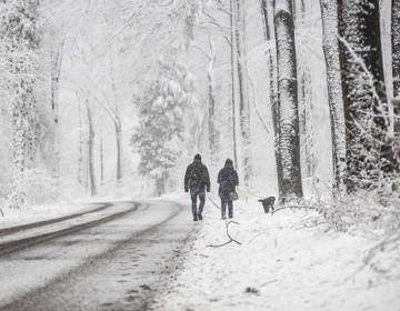 Twee wandelaars wandelen in een sneeuwbui door een wit bos