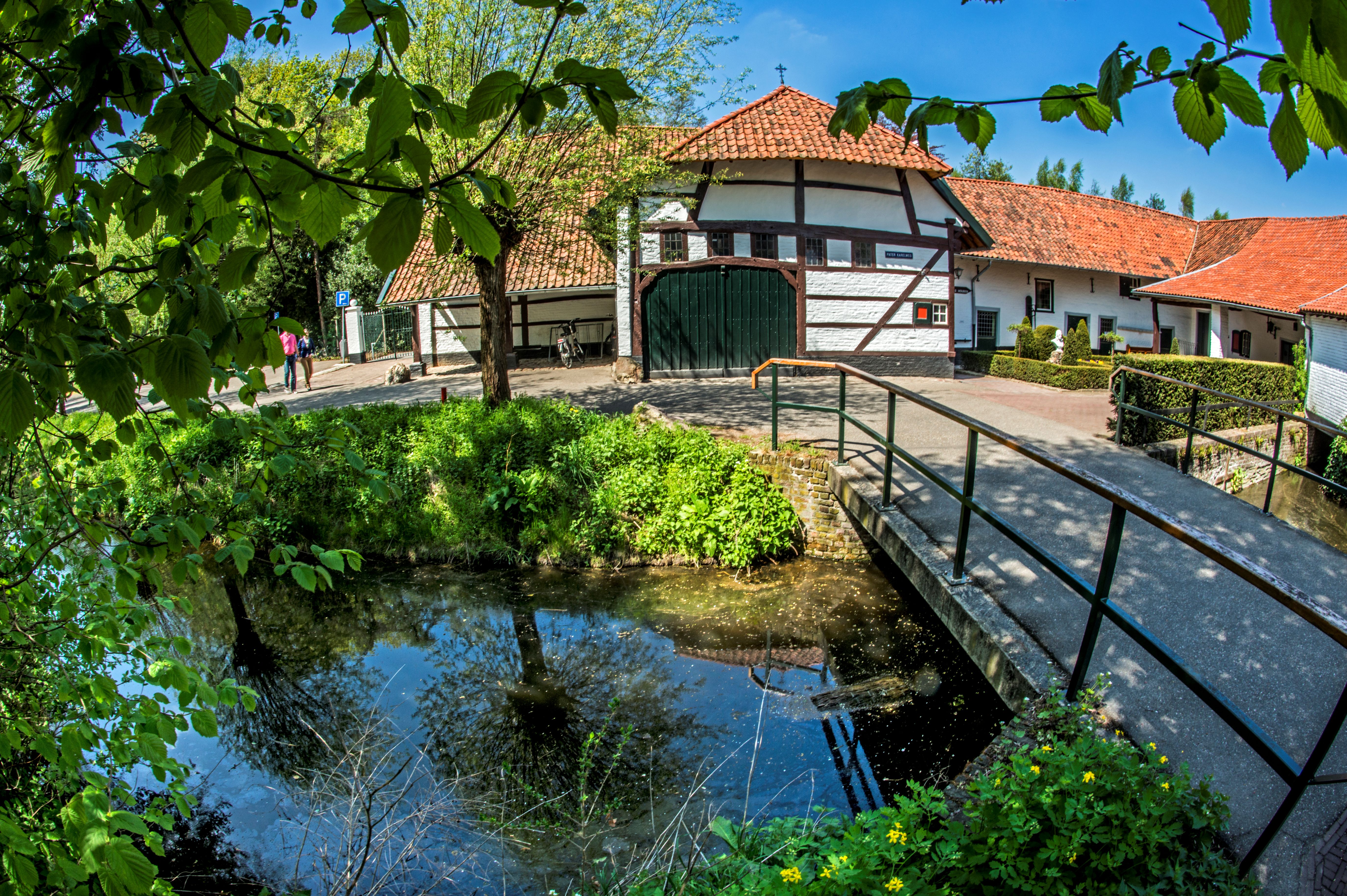 Expositie ‘Levend Water’ van Angela Korving